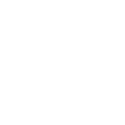 Perplexity logo
